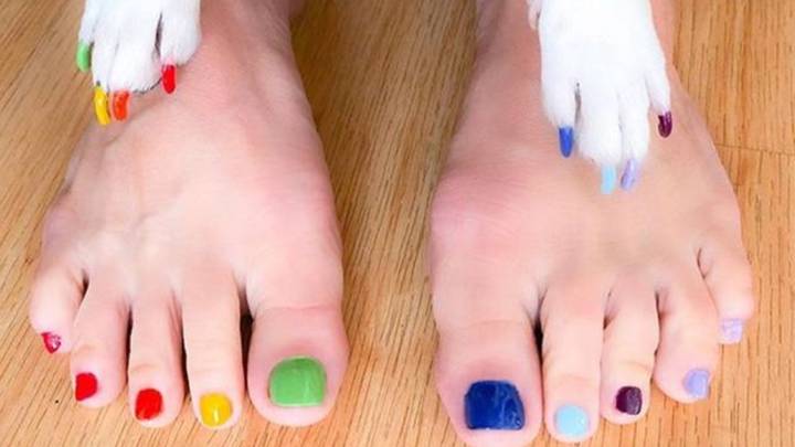 Pet-icure ~ Is This Really A Thing?